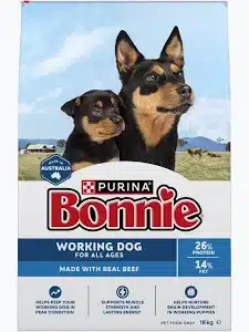 Bonnie Working dog